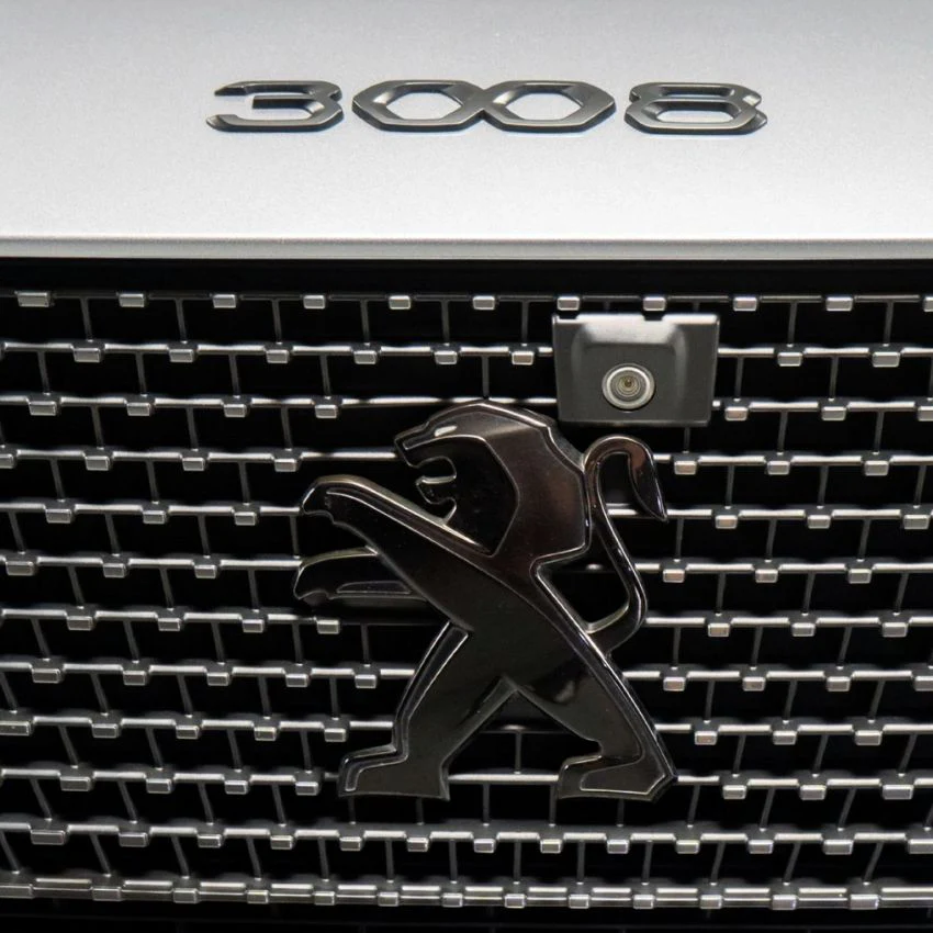 Logo Peugeot Noir - Image 4